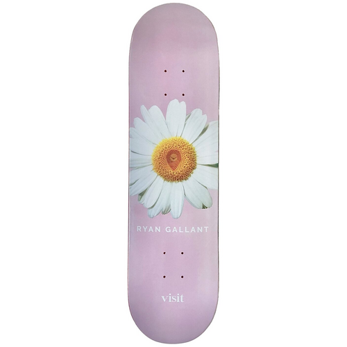 Visit Deck 8.0 Daisy